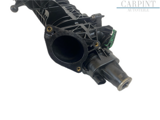 Image #11