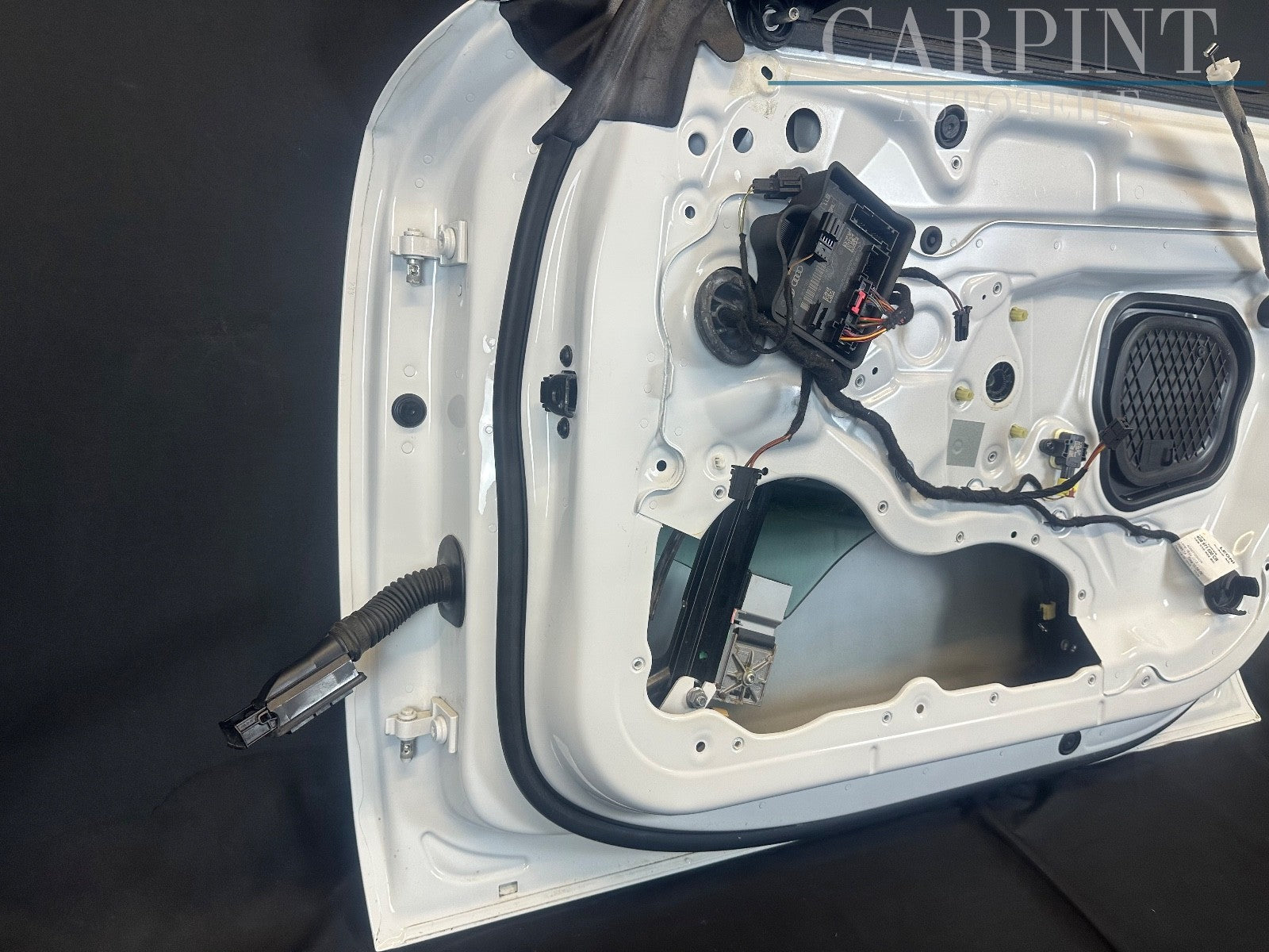 Image #12