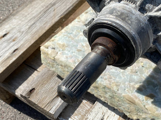 Image #8